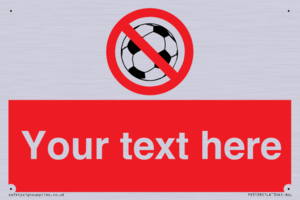 Custom No Ball Games Sign